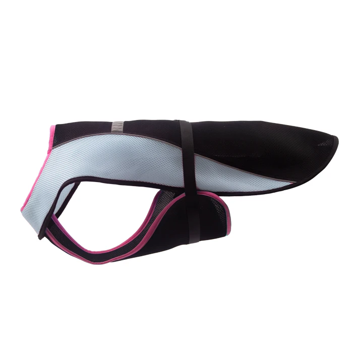 The Best Winter Jackets for Dog Training