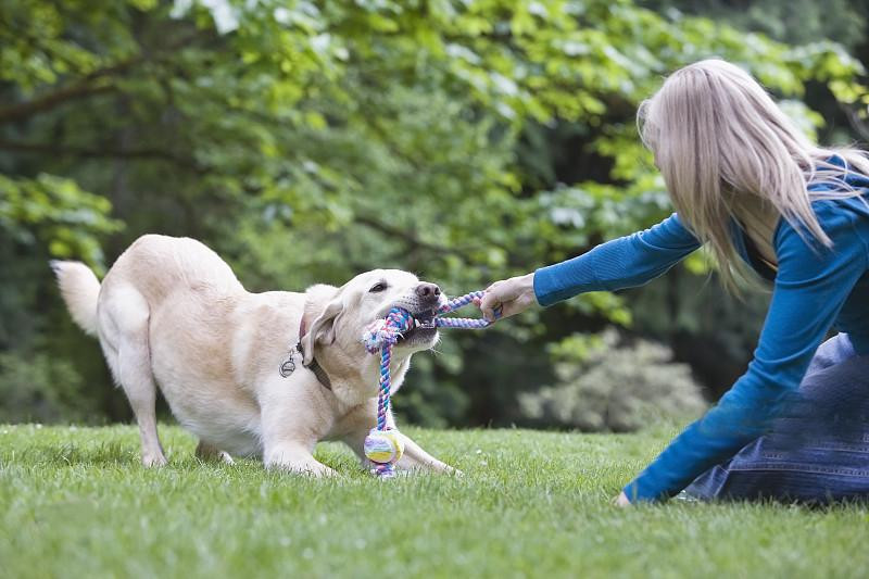 Wholesale Girls Trainer Jackets for All Seasons and Activities