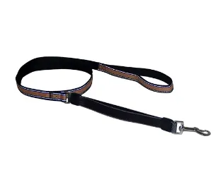 Why Every Dog Owner Needs a Safety Gear Reflective Dog Leash