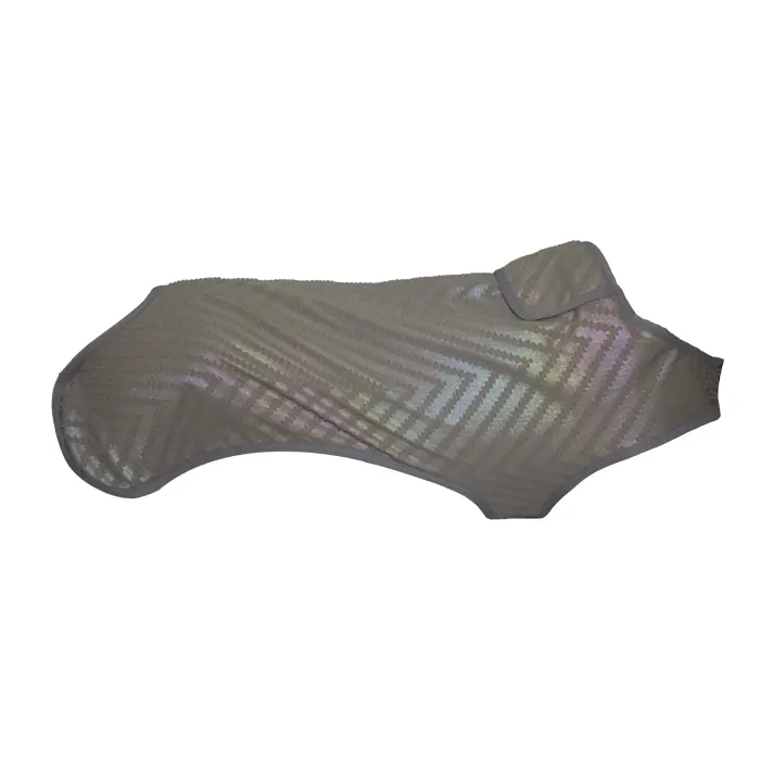 reflective dog leash