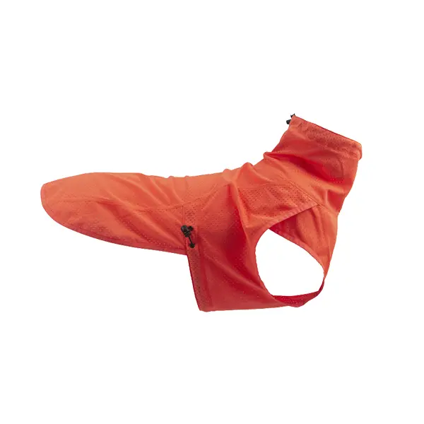 boy vest for dog training suppliers