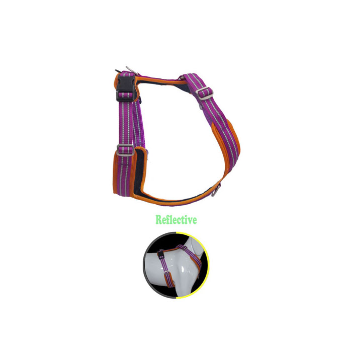 Reliable Suppliers of Puppy Leash and Pet Safety Gear for Your Beloved Pets