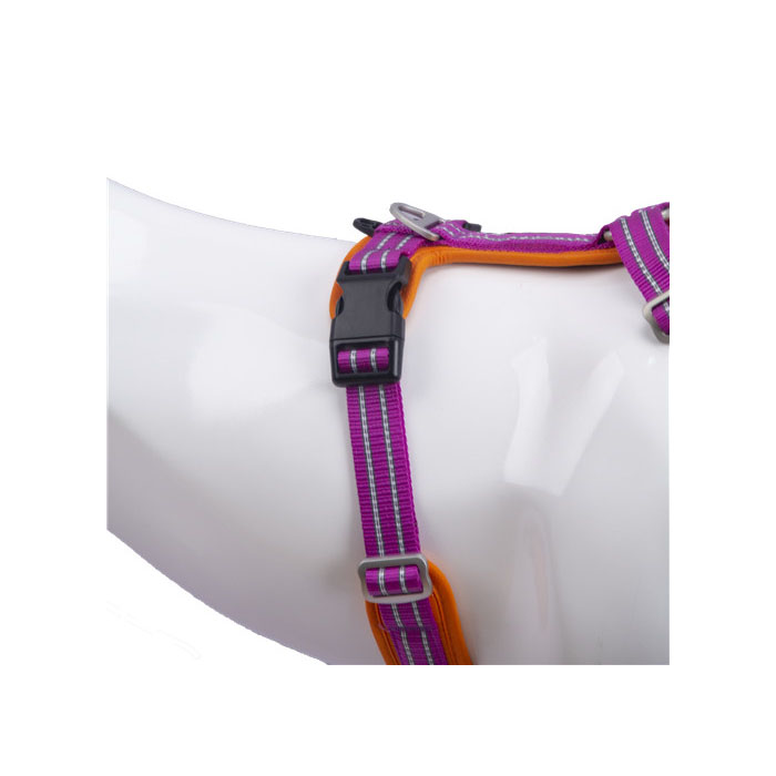 Kid Outdoor Pants for Dog Training - Top Suppliers