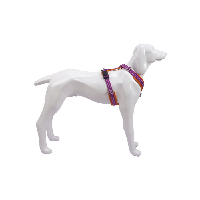 Kid Outdoor Pants for Dog Train Suppliers – Durable, Safe