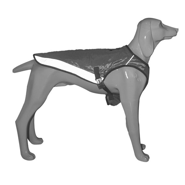 Durable Kid Outdoor Pants for Dog Training - Suppliers & Factory