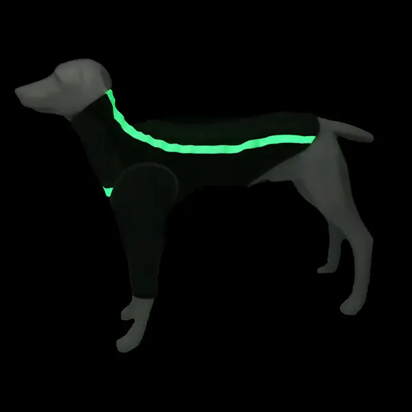 Groothandel buitenkleding veilige reflecterende hondenriem voor wandelingen en avonturen