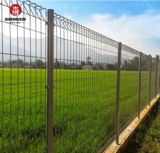 Steel vs. Galvanized BRC Fences: Which Is the Best Choice