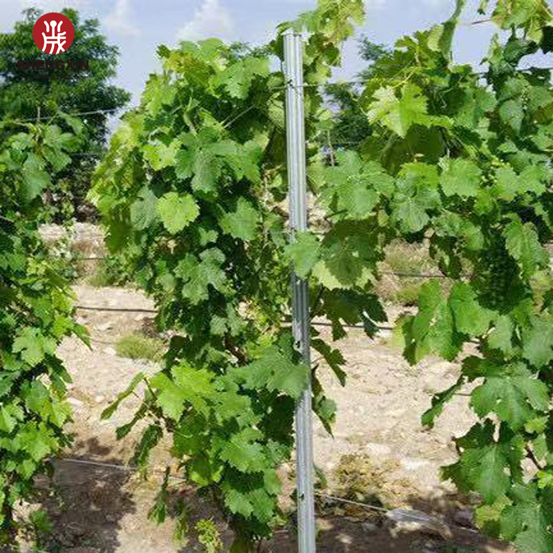 8ft metal fence post suppliers