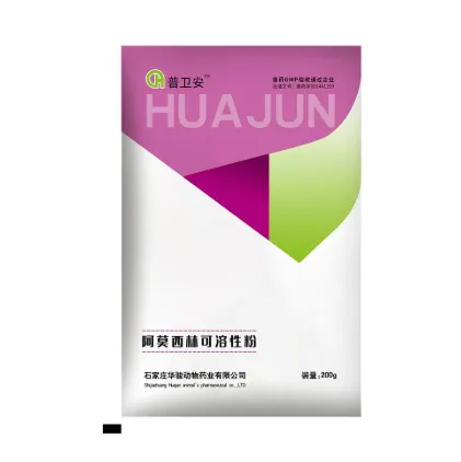 Amoxicillin Uses Explained