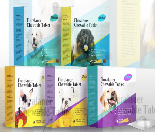 Common Intestinal Worms in Cats and Dogs