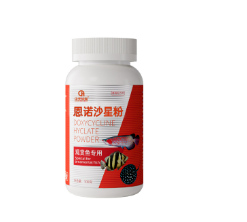 Pond Goldfish Medication Techniques