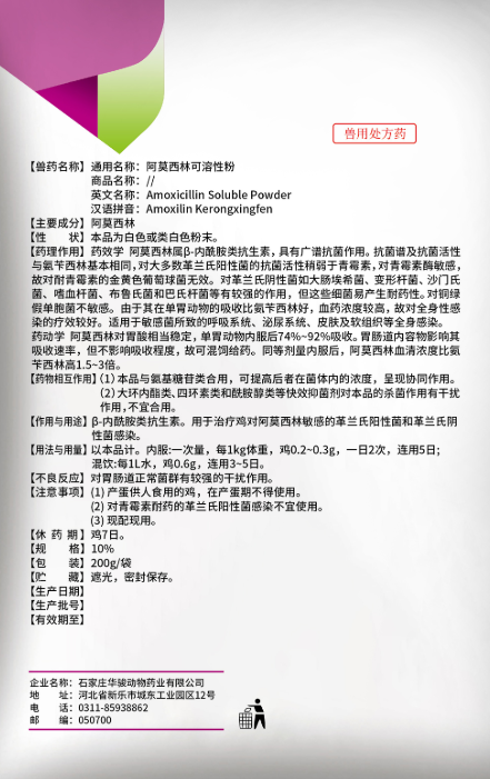 Mechanisms of Action of Amoxicillin for Animals