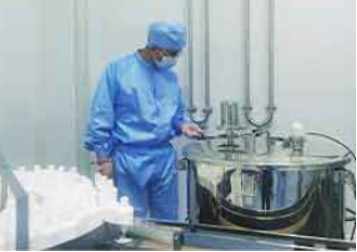 Botanical Characteristics of Milk Thistle