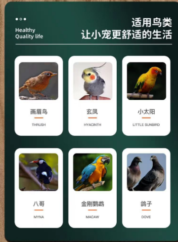 Safety Precautions When Using Bird Eye Drops