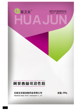 Amoxicillin Mechanism of Action in Animal Bodies