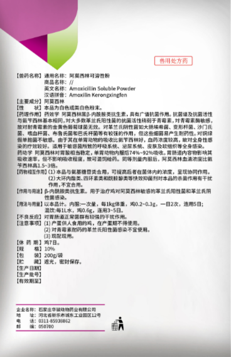 Amoxicillin Mechanism of Action in Animal Bodies