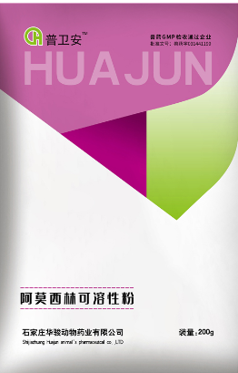 Amoxicillin soluble powder must be stored properly