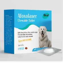 Dog Wormer for Sale Tips