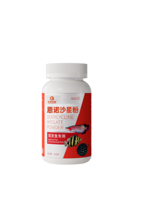 Common aquarium fish disease treatment medication guide