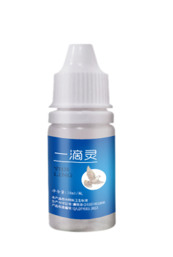 Treating bird eye infections with systemic medicine