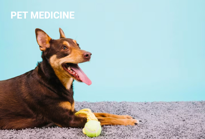 Essential medicines for birds every owner needs