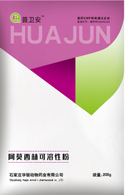 Use amoxicillin soluble powder for poultry