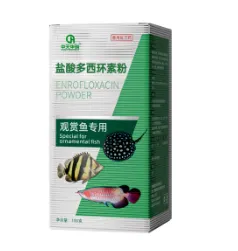 Best Water Treatment Practices for Goldfish with Fancy Varieties