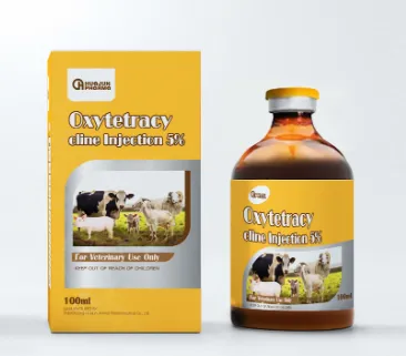 The Role of Injections in Modern Medicine