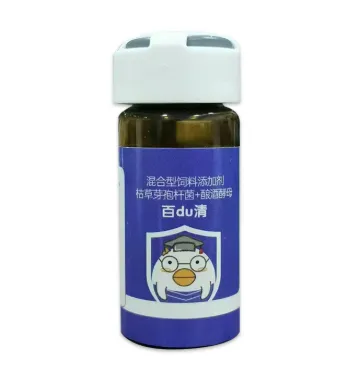 The Link Between Medications and Overall Pigeon Health