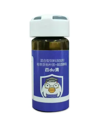 Signs Your Pigeons Need Medication: What to Look For