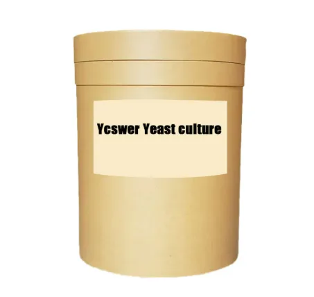 Peptide Treatment Basics