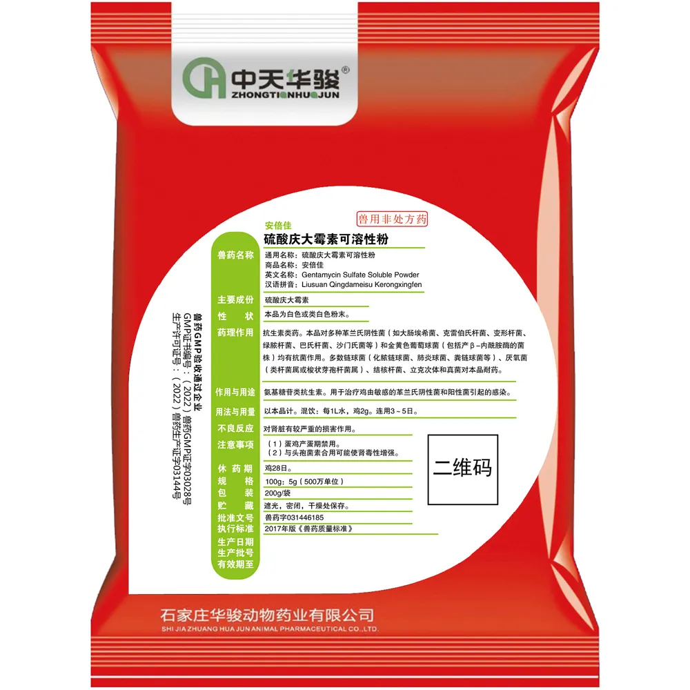 The Power of Gentamicin Sulfate for Effective Treatment