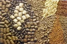 Exploring the Leading Manufacturers and Innovations in Mycoplasma Production and Research Technologies