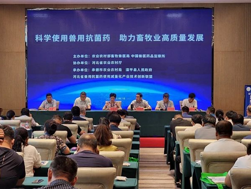 Exploring Tailored Antibiotics Approaches in Combating Infections with Penicillin and Ciprofloxacin