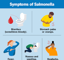 The Effects of Taking Penicillin on an Empty Stomach and Recommendations from Suppliers