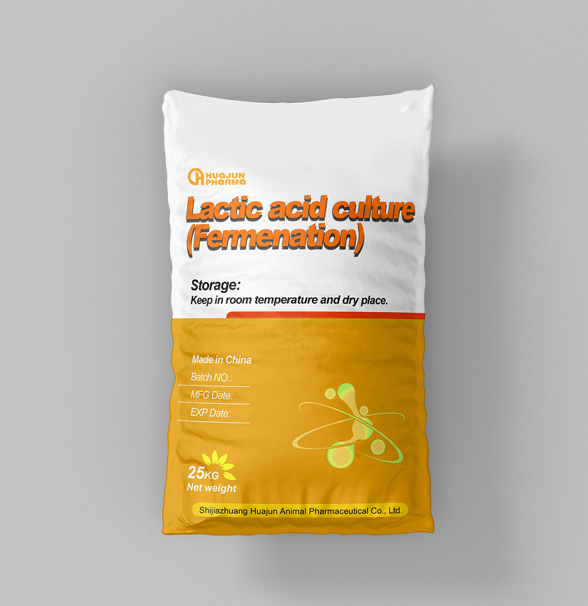 Lactic Acid Bacteria Culture