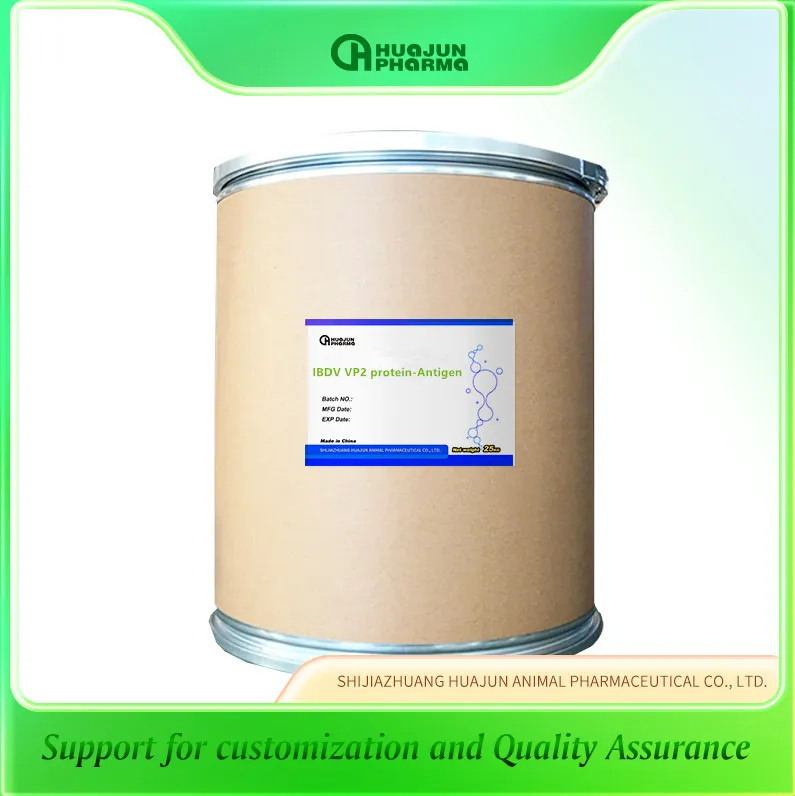 IBDV VP2 protein -Antigen