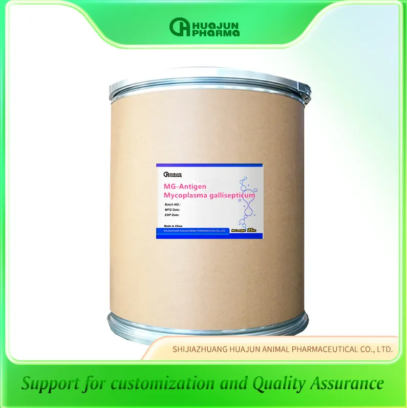 Mycoplasma gallisepticum (MG)-Antigen