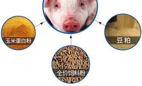 Understanding Custom Chronic Eustachian Salpingitis and Its Impact on Ear Health Issues