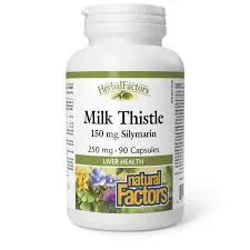 Exploring the Connection Between Ivermectin and Lyme Disease Treatment Strategies