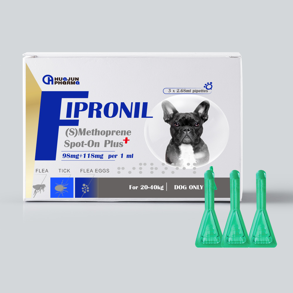 china norfloxacin capsules 0.1 g