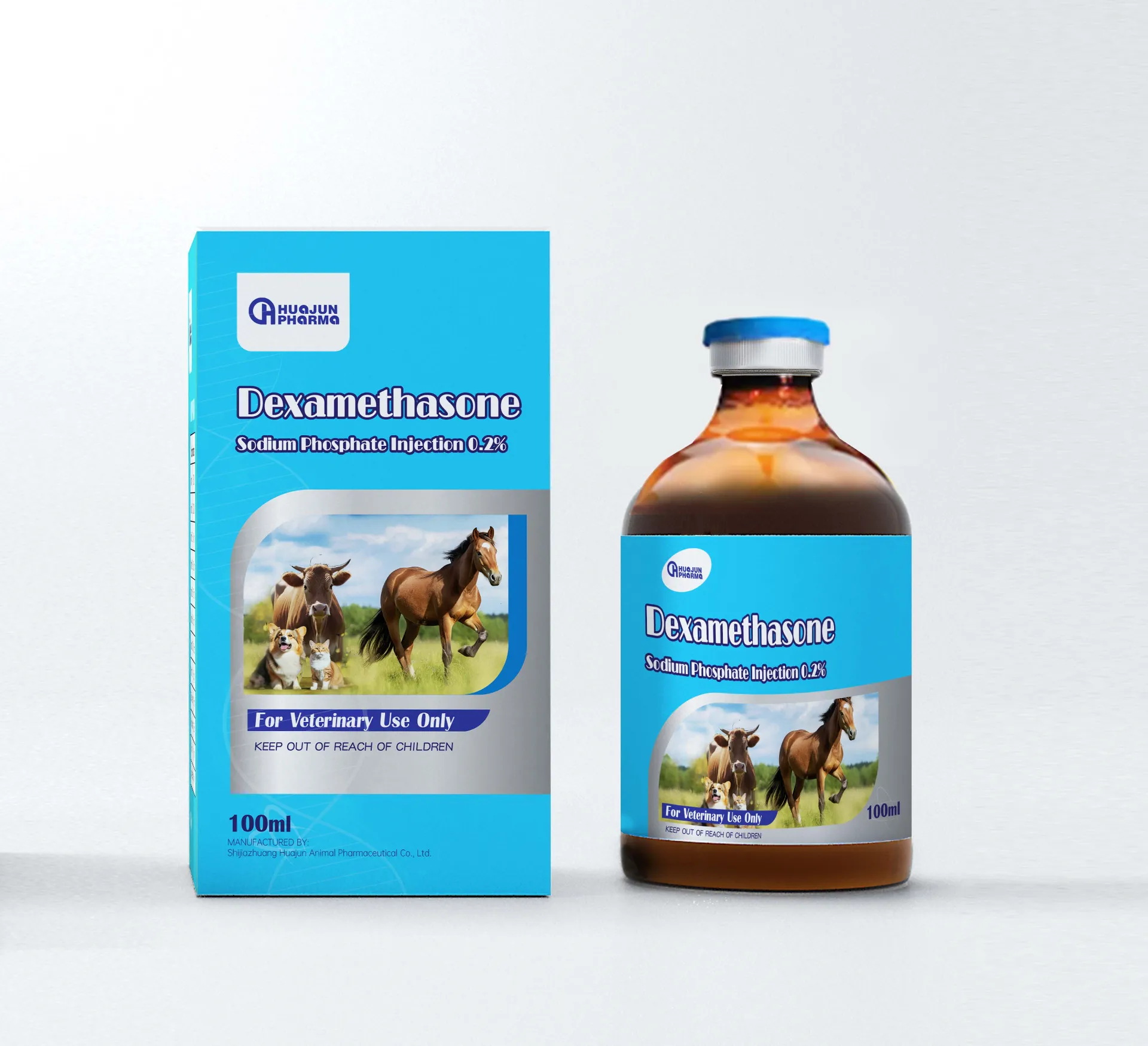 Novel Approaches in Tuberculosis Treatment Targeting Mycoplasma Interactions and Resistance Mechanisms