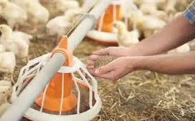 Ivermectin Supplier for Effective Bimectin Solutions in Pest Control and Animal Health