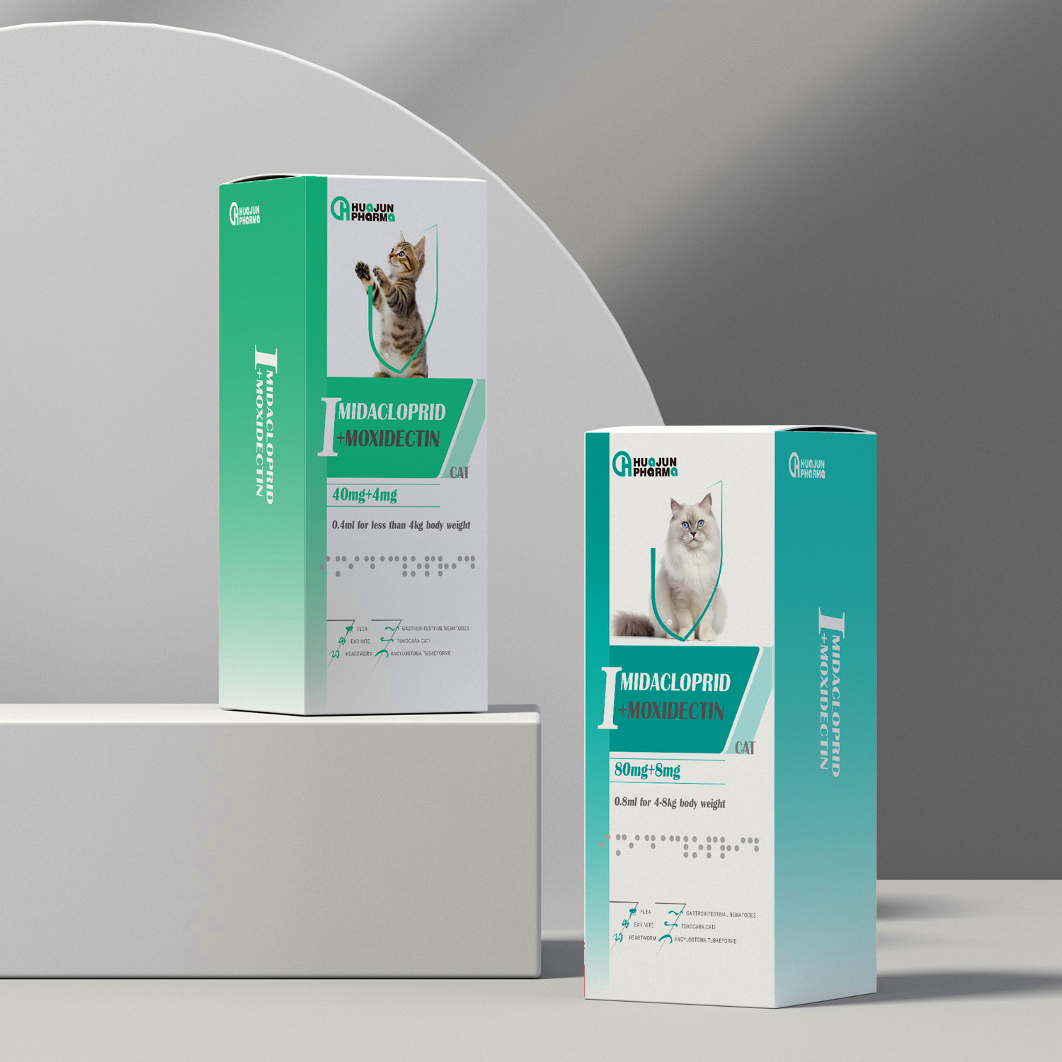 Understanding Feline Mycoplasma Infections in China and Their Impact on Cat Health