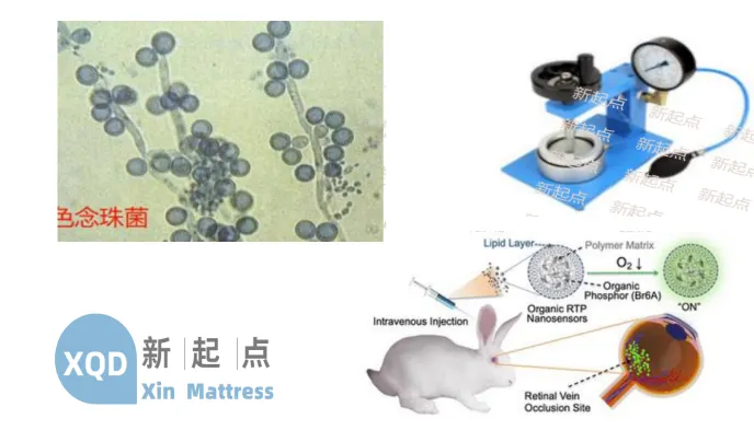 Embrace Comfort with Innovative Mattress Quotes for Ultimate Sleep Experience