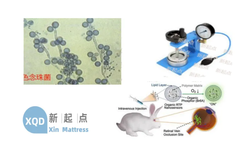 Waterproof Bedding for Home Factories | Durable & Reliable Protection