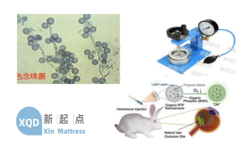 buy smart medical bed