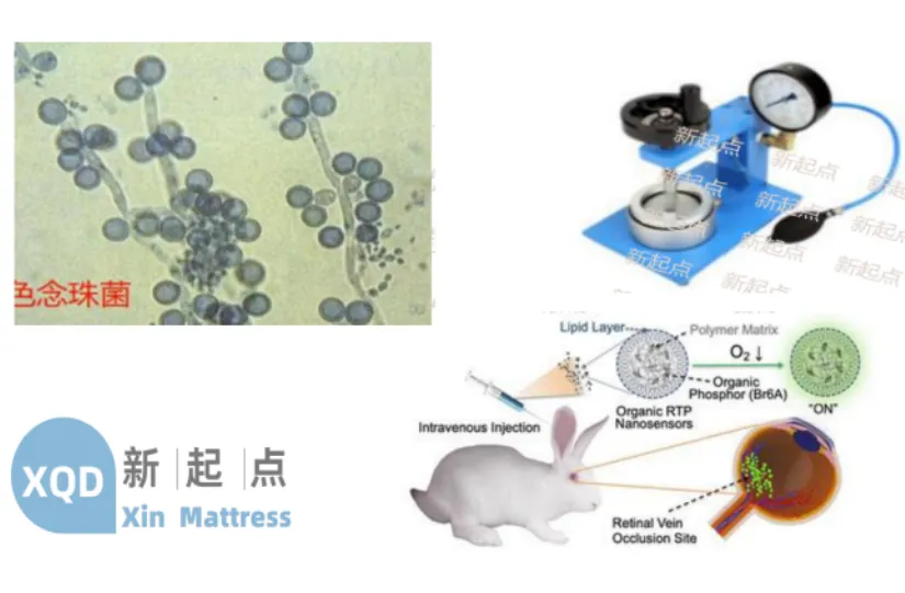 Sodina Company's Medical Materials Pass Multiple Tests, Ensuring Safer Medical Devices