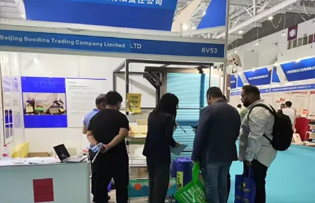 foam core mattress exporters