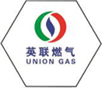 Exploring Innovative Technologies for Efficient Gasification Processes in Renewable Energy Production